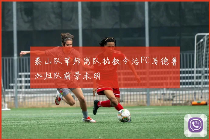 泰山队军师离队执教今治FC马德鲁加归队前景未明